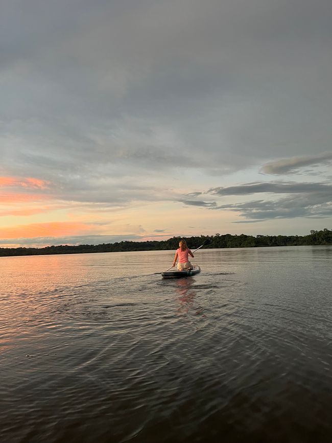 AMAZONAS- Parte 2