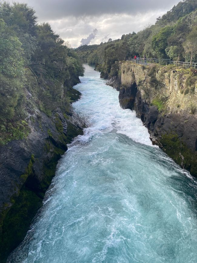 Taupo