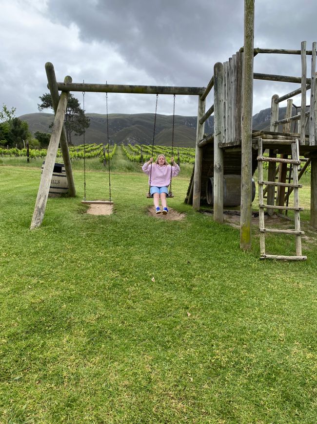 Nächster Stop AfriCamps