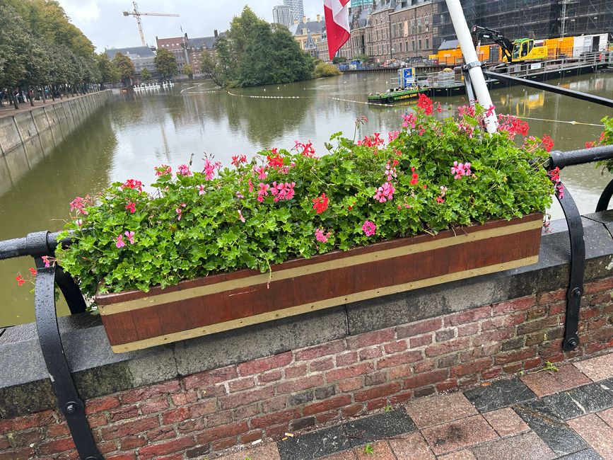 Tag 5: Den Haag - Schevingen
