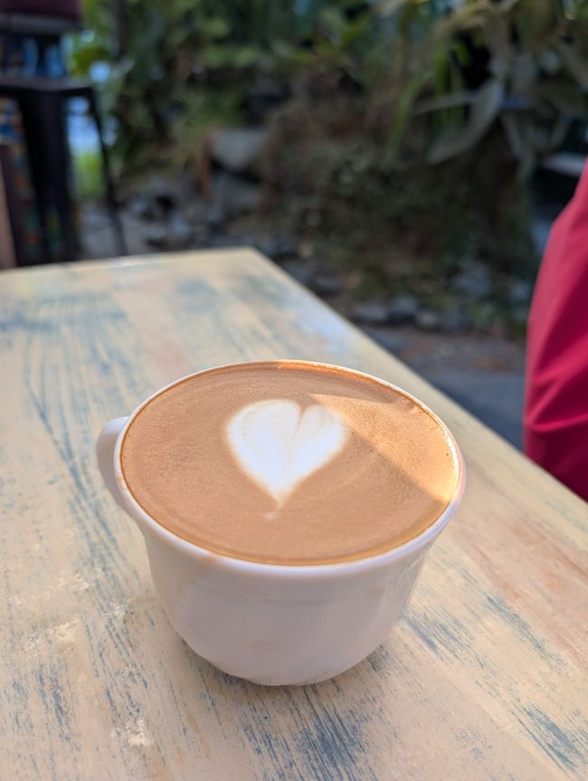 Ruhe in Raglan & Wunder in Waitomo