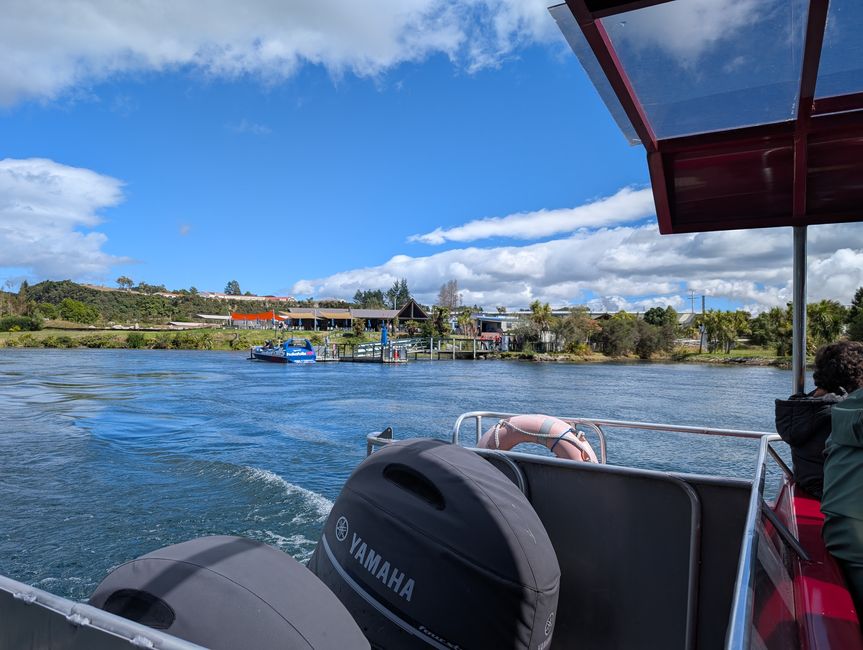 Taupo