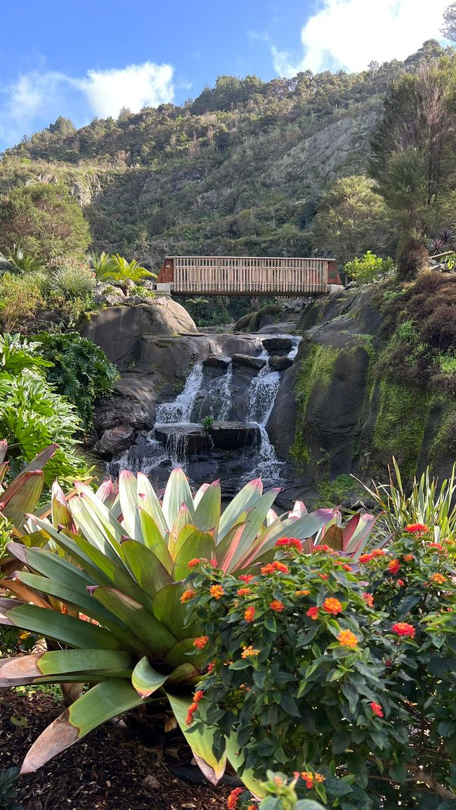 Whangarei Quarry Garden