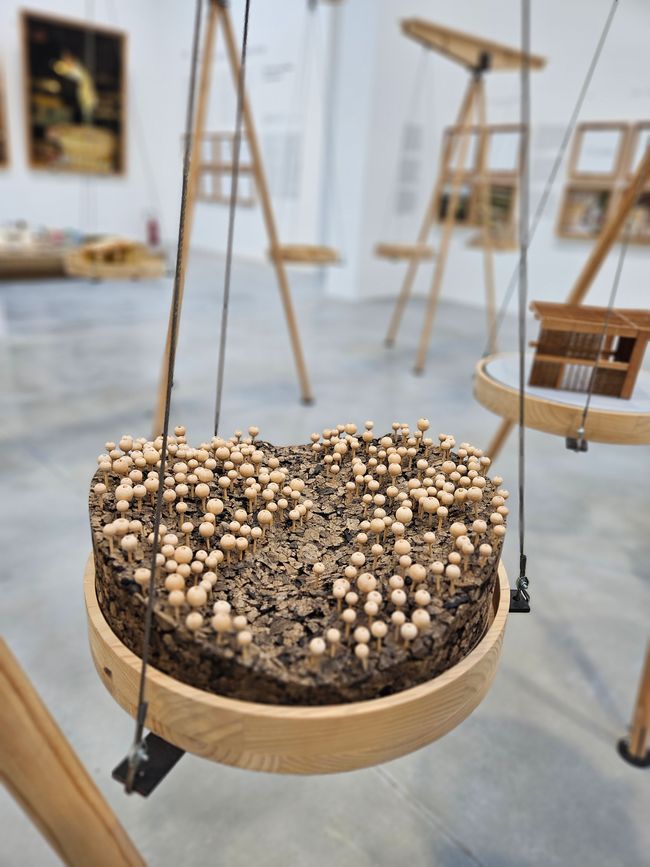 Spanischer Pavillon, Holz als Baustoff