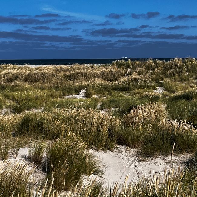 Ankunft in Hirtshals