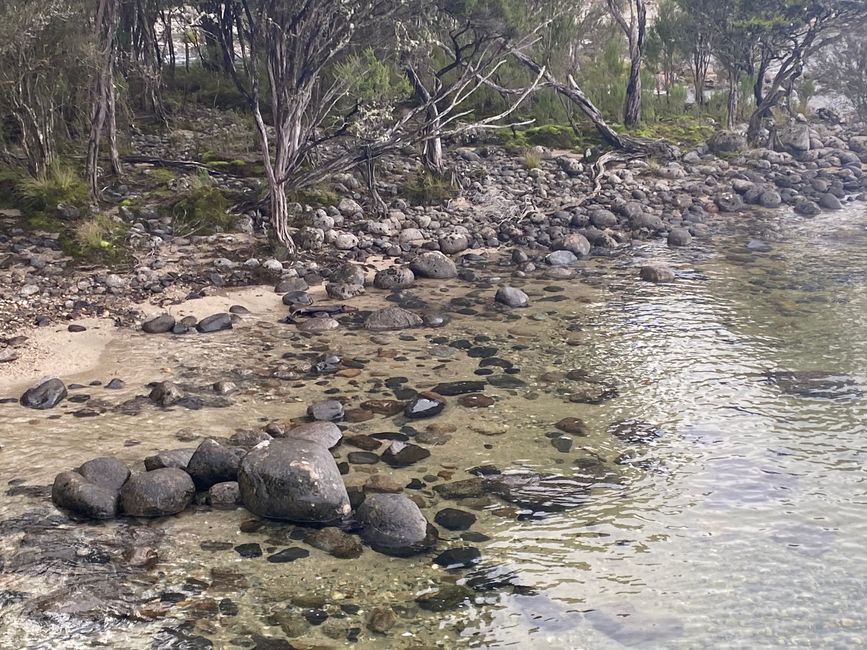 Among the glowing glowworms