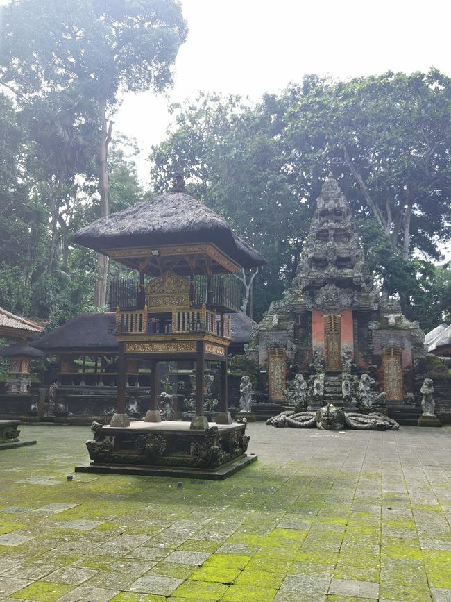 Excursión de un día a Ubud y Tegallalang