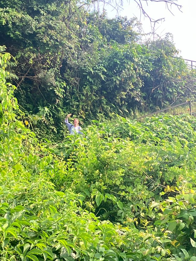 Nationalpark Murchison Falls