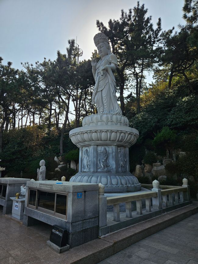 81. 标记釜山,韩国,2026年2月13日