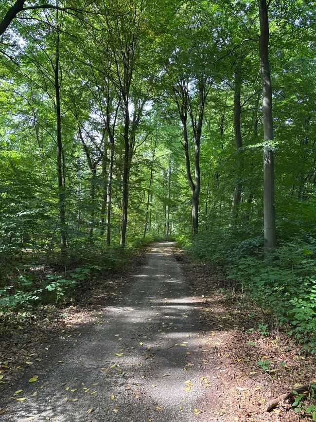 Von Berlin an die Ostsee 