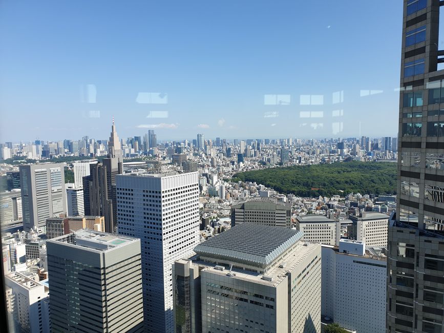 Tokyo from above