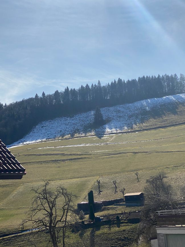 - am Waldrand auch noch Schnee