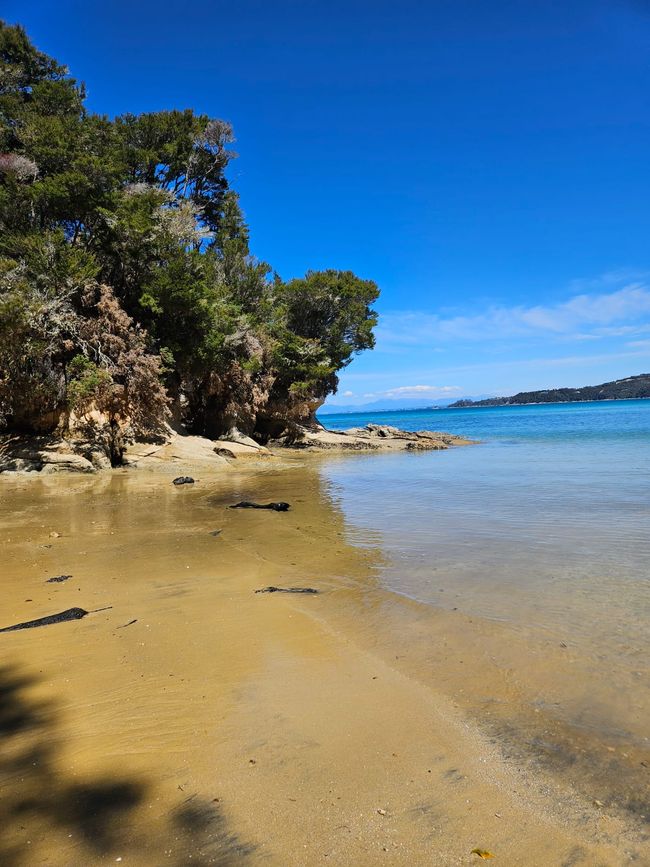 Auf ein paar Worte in Abel 
Tasman