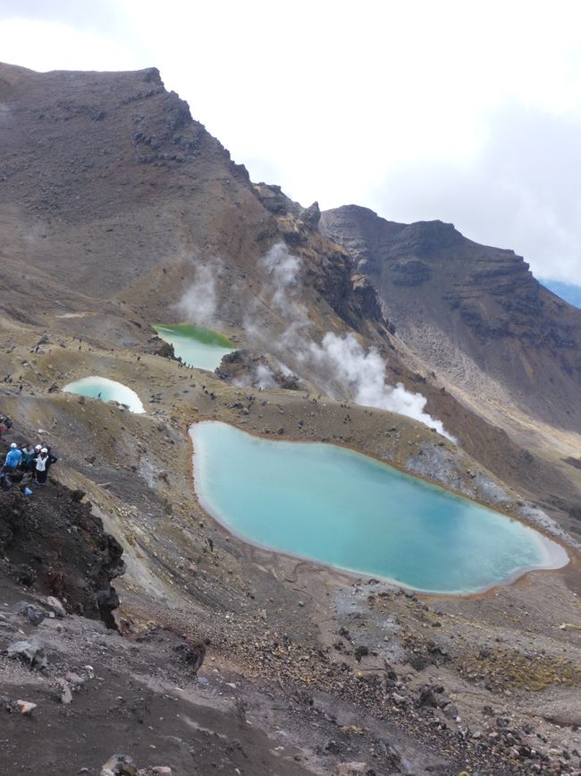 2025-03-29 Tongariro, Timber Trail and ...