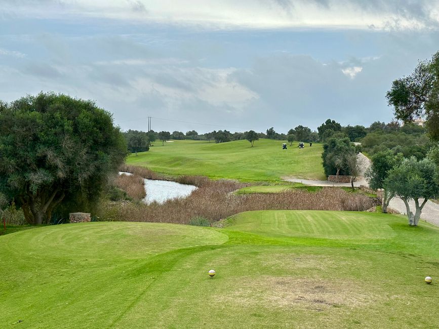 Golf Day in Espiche