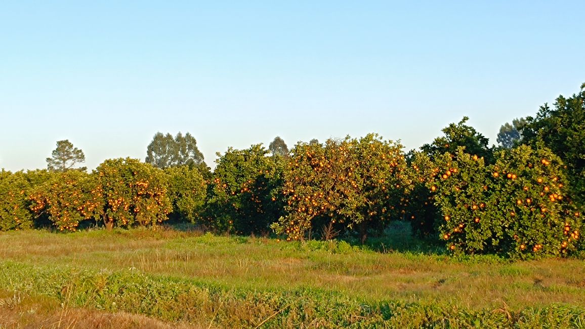 Paraguay_Caacupe_Aventura_Ranch (Juli 2025)