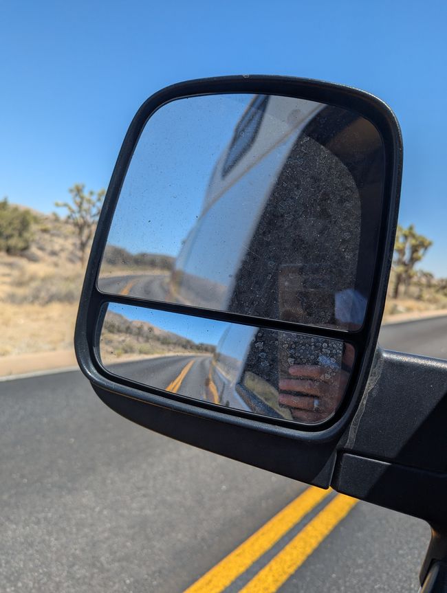 Joshua Tree