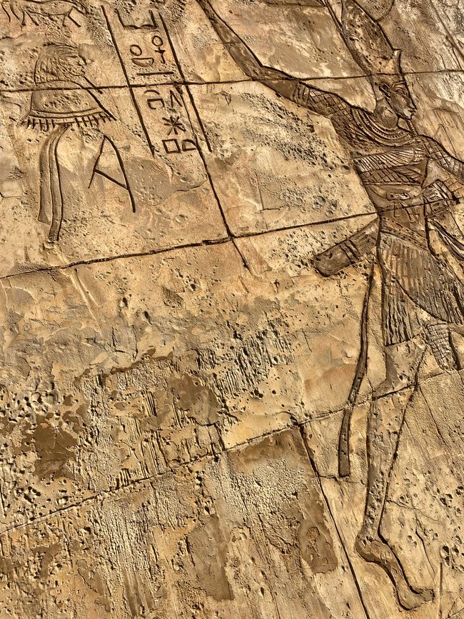 Hamilton Gardens - Egyptian Garden