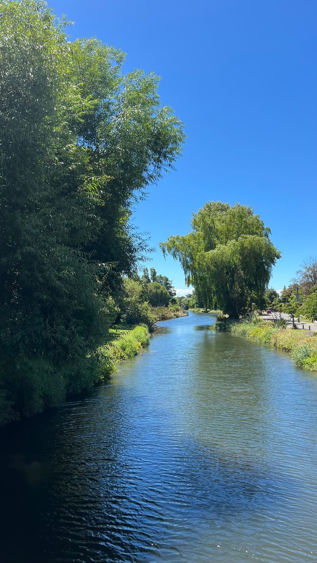 Paseo al Parque Hansen