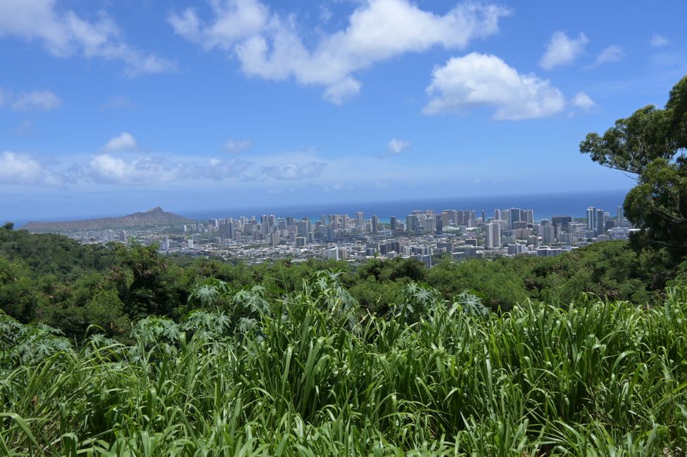 Plage de Waikiki