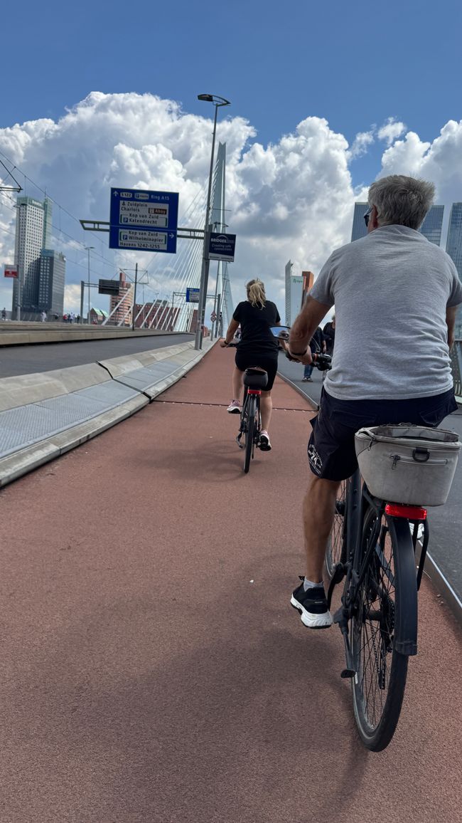 Rotterdam Erasmusbrücke