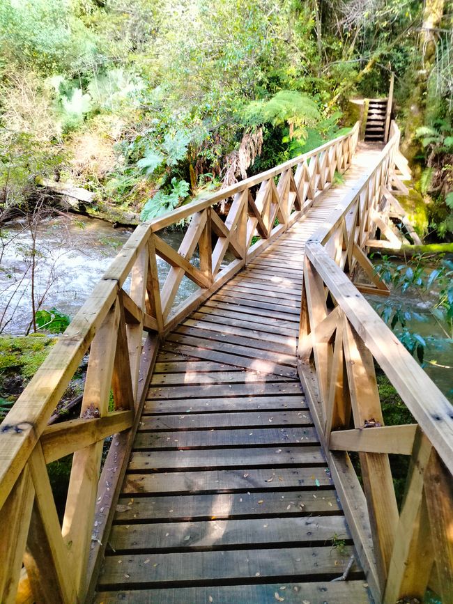 Viaggio in Patagonia Parte 3: Traghetto per Chaoten + Parco Nazionale Pumalin