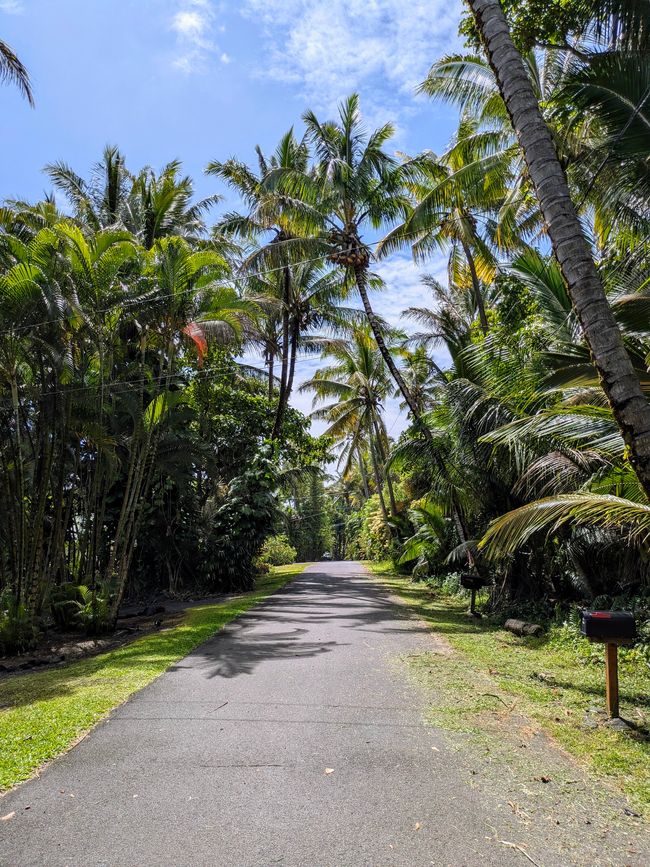 A Day At The Beach - Kehena Black Sand Beach