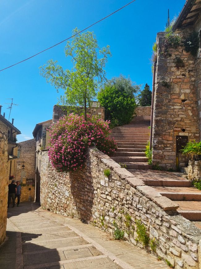Italien im Frühling
Teil 8 Perugia & Assisi