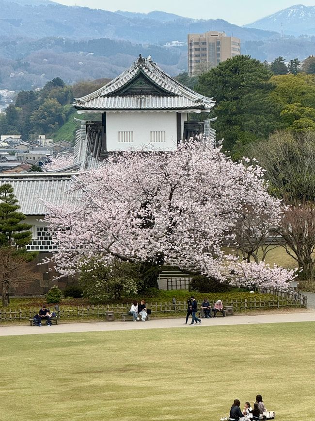 Part 8 Japan 🇯🇵 Kanazawa