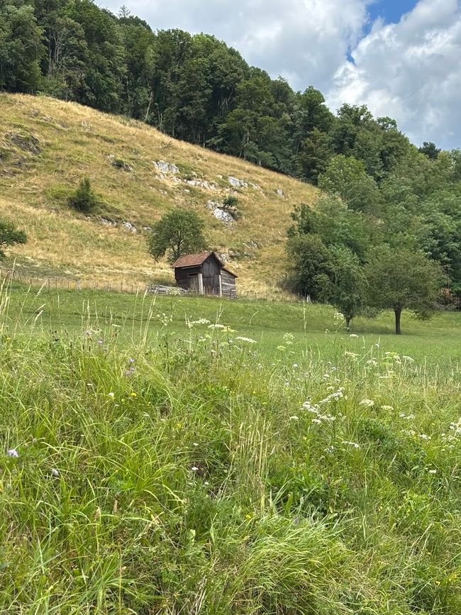 Soca - Tag 1 bis Tolmin