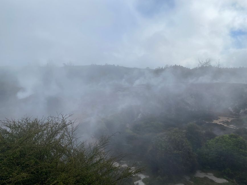 Taupo