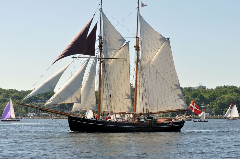 Fahrt zur Rum-Regatta in Flensburg 2017