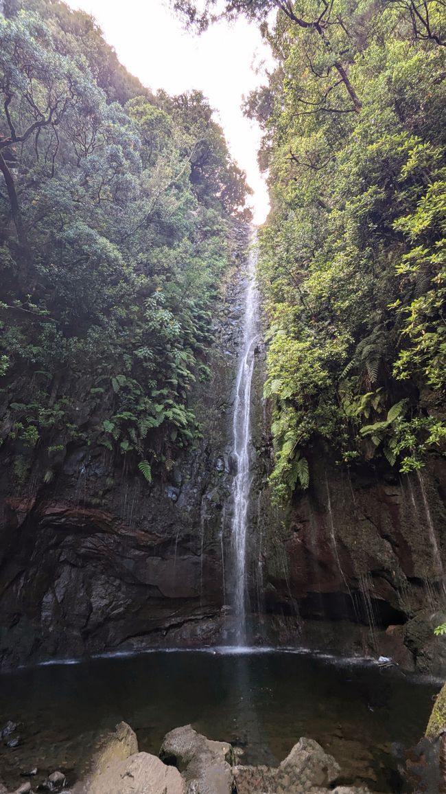 Tag 10: Levada das 25 Fontes und Risco & Feenwald