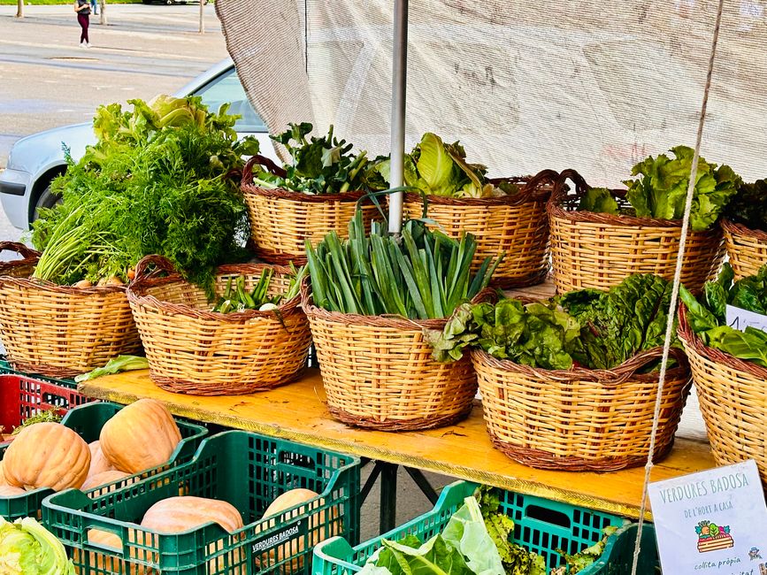 Wochenmarkt in Platja d’Aro, unser letzter Tag an der Costa Brava