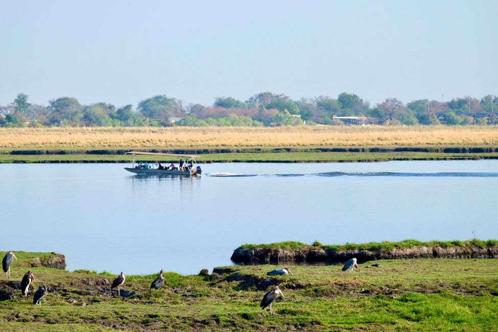 Chobe Nationalpark