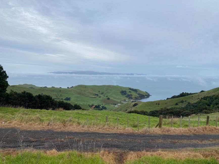 Coromandel loop
