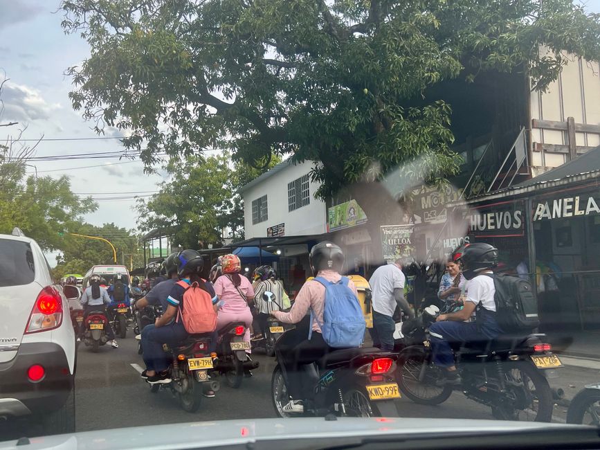Motorcycles and mopeds