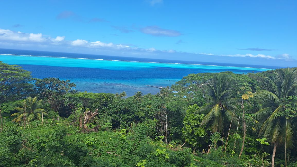 Willkommen im Paradies // welcome to paradise