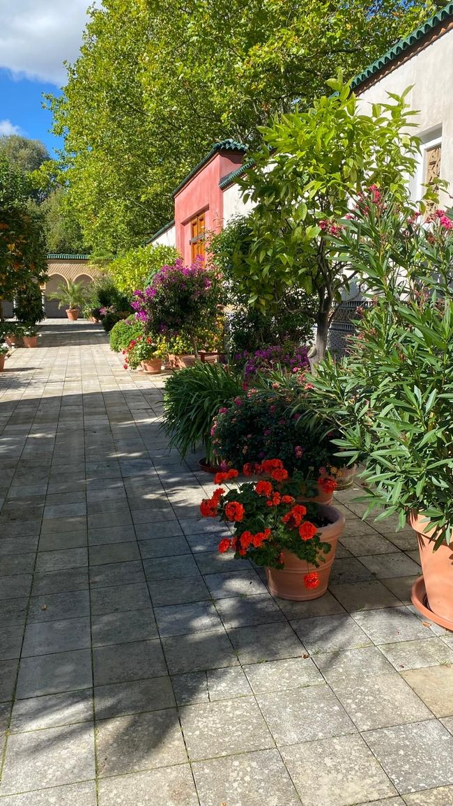 After the Spreewald came the high of excitement