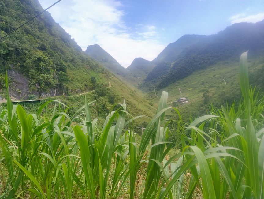 Valley off the Loops