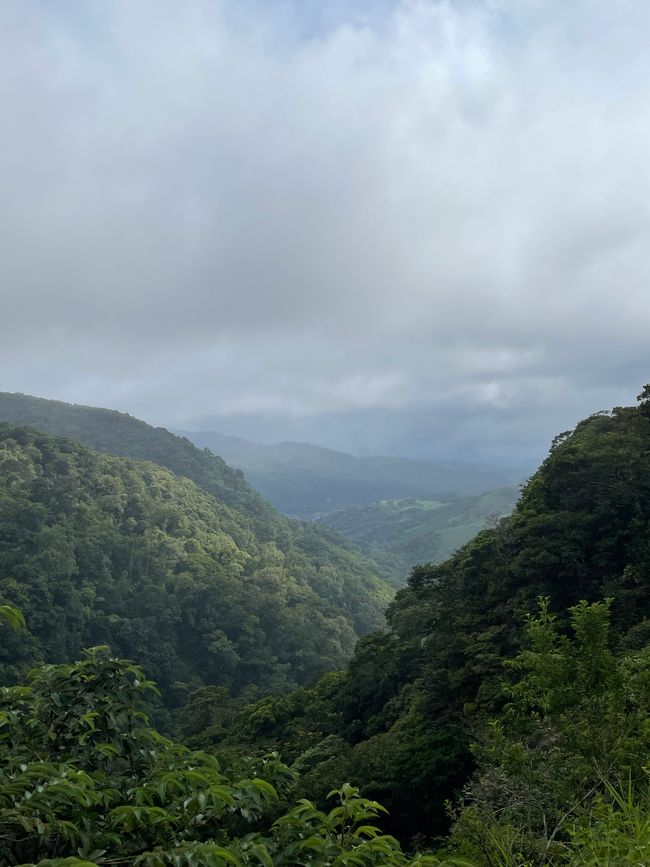 die Region Monteverde
