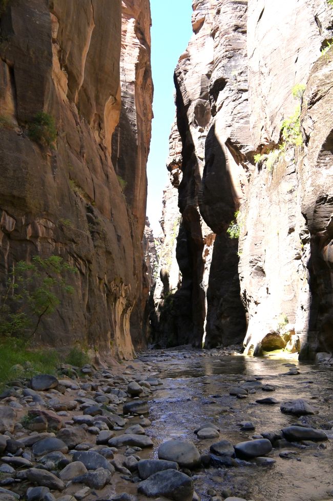 Wanderung durch die Narrows