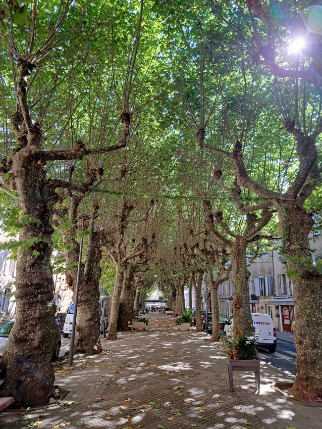 Florac Trois Rivières