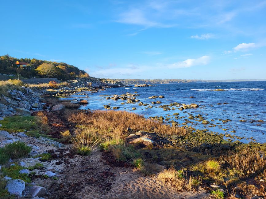 Coast at Gudhjeim