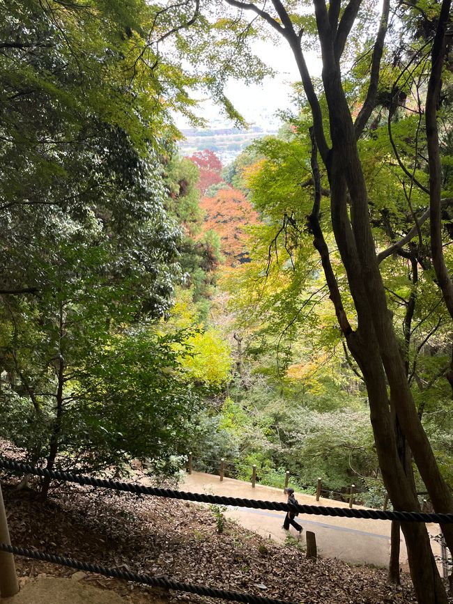 23.Kapitel: Arashiyama oder ein Tag von vorne bis hinten gelungen