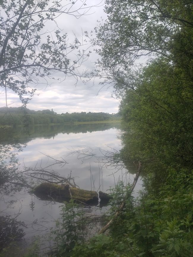Wasserreiches Land