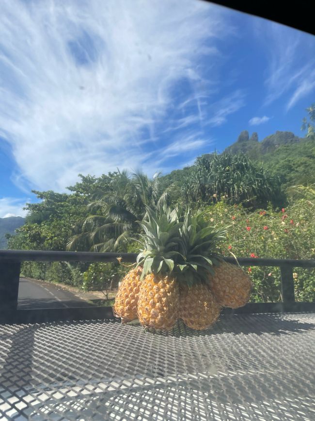 50.Tag 23.2.25 Moorea