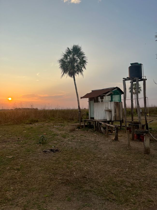 Abendliche Stimmung in der Pampas