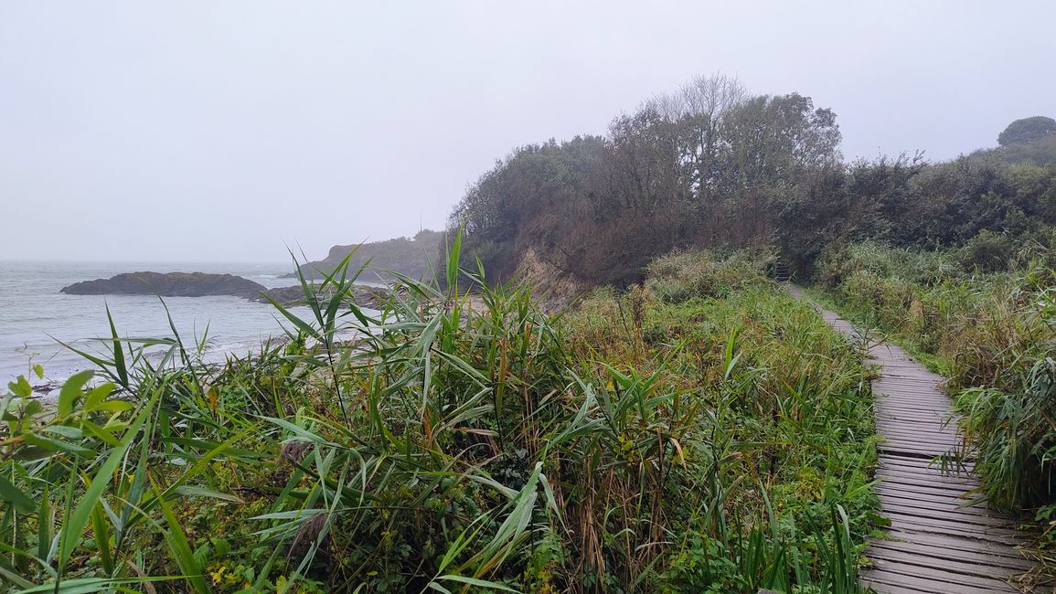 Tag 6.1: Par - Fowey