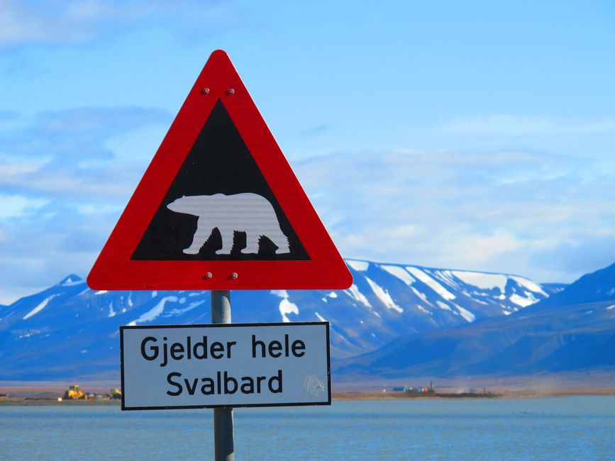 Weißer Eisbär auf weißem Hintergrund macht so kein Sinn;-)) Eisbären haben Vorfahrt und das gilt für ganz Spitzbergen